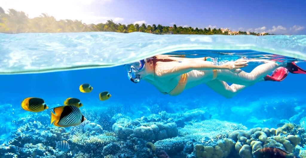 Guest snorkeling coral reef on dolphin cruise