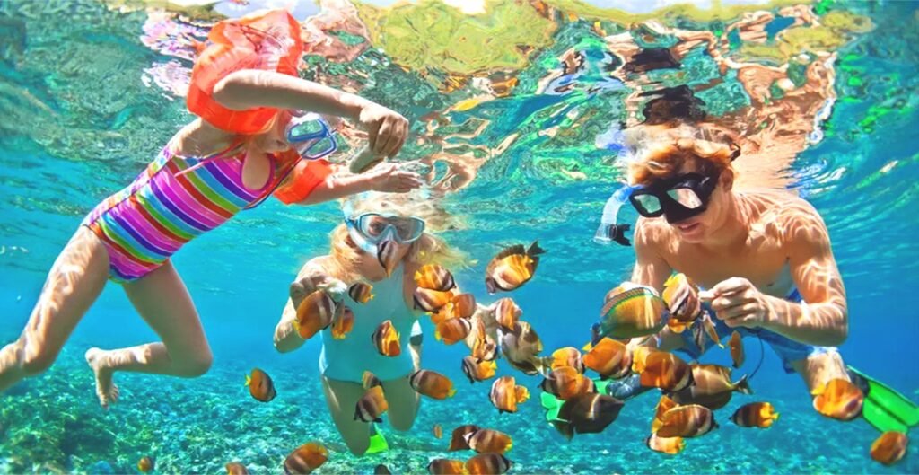 Snorkeling vibrant corals at Orange Bay